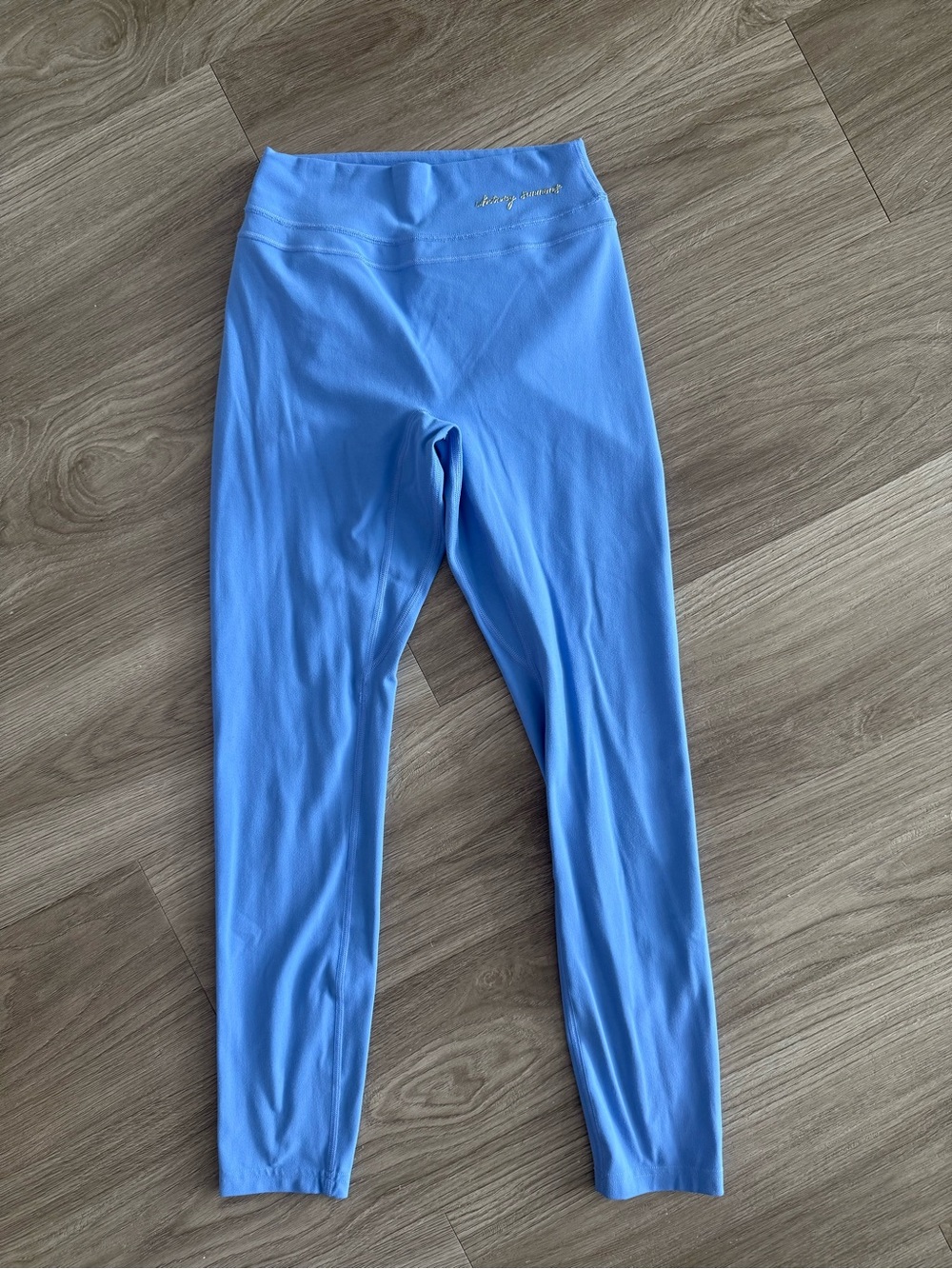 Gymshark x Whitney Simmons Sky Blue Leggings